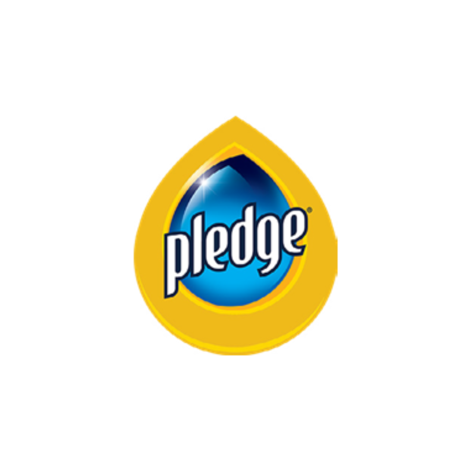 Pledge